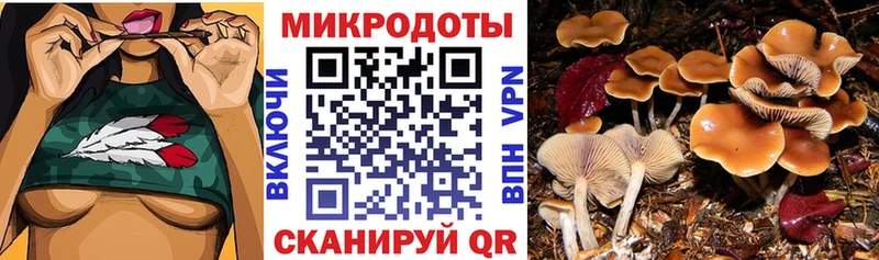 Галлюциногенные грибы мухоморы  нарко площадка Telegram  Берёзовка  сколько стоит 